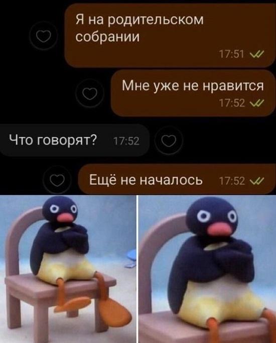 Свежие прикольные картинки для четверга