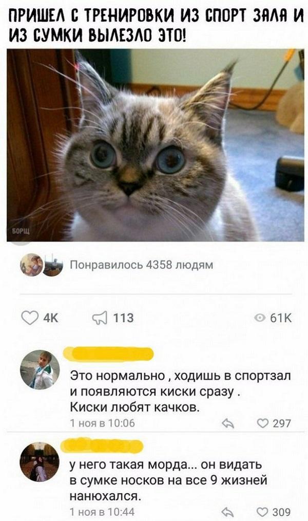 Свежие прикольные картинки для среды