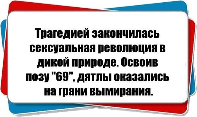 Подробнее о статье Смешные фразы и шутки с черным юмором