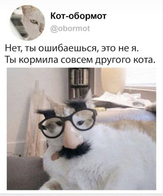 Прикольные картинки, которые поднимут настроение