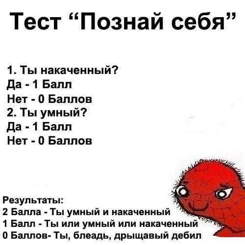 Пять прикольных тестов с ответами