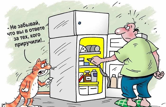 Карикатуры для поднятия настроения