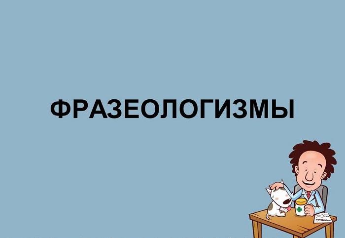 Подробнее о статье Интересные научные фразеологизмы