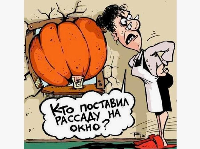 Карикатуры про весну, лето и не только