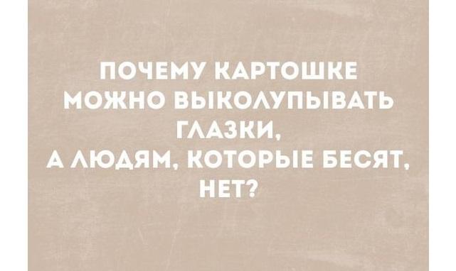 Прикольные картинки на 17 июня 2024 года