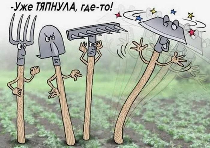 Карикатуры про весну, лето и не только