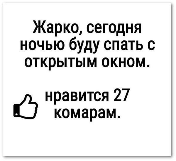 Подробнее о статье Прикольные статусы и фразы про жару