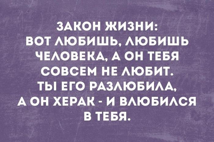 Подробнее о статье Актуальные и досадные законы жизни