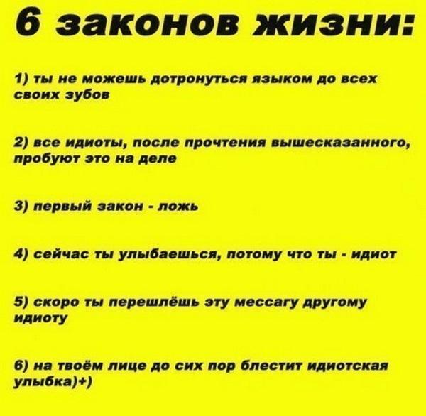 Актуальные и досадные законы жизни