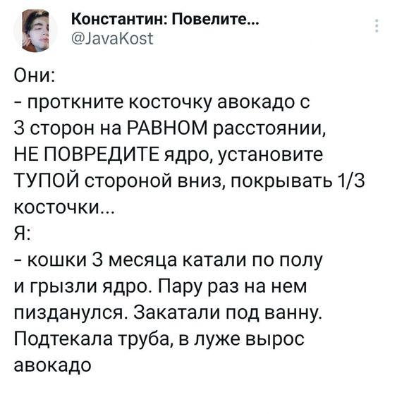 Прикольные картинки на субботу 24 августа 2024 года