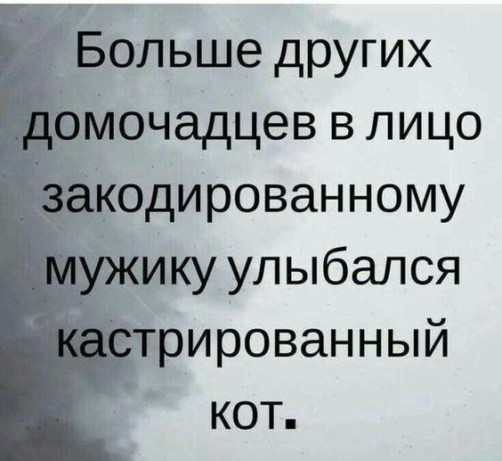 Прикольные картинка на понедельник 19 августа 2024 года