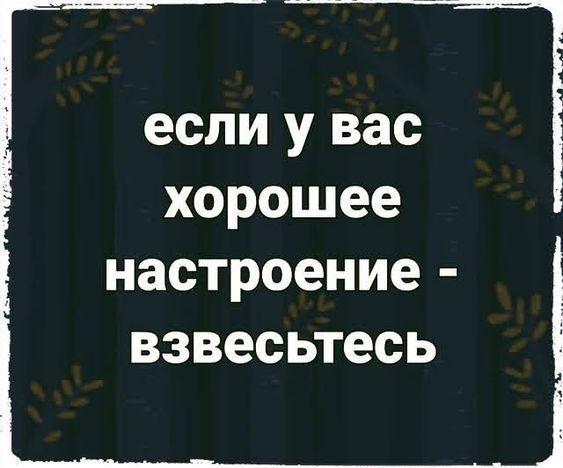 Подробнее о статье Прикольные картинки на пятницу 9 августа 2024 года