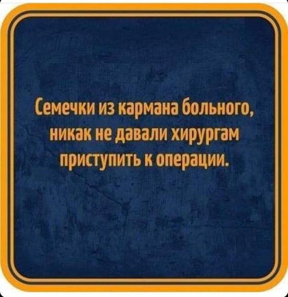 Прикольные картинки на понедельник 12 августа 2024 года