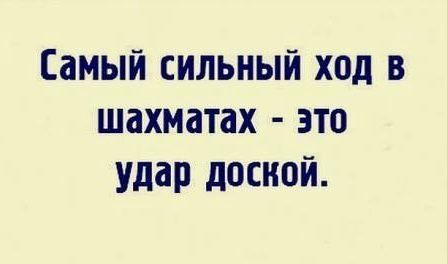 Прикольные картинки на 2 августа 2024 года