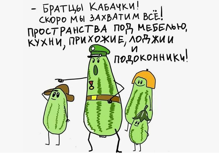 Анекдоты про дыни и кабачки