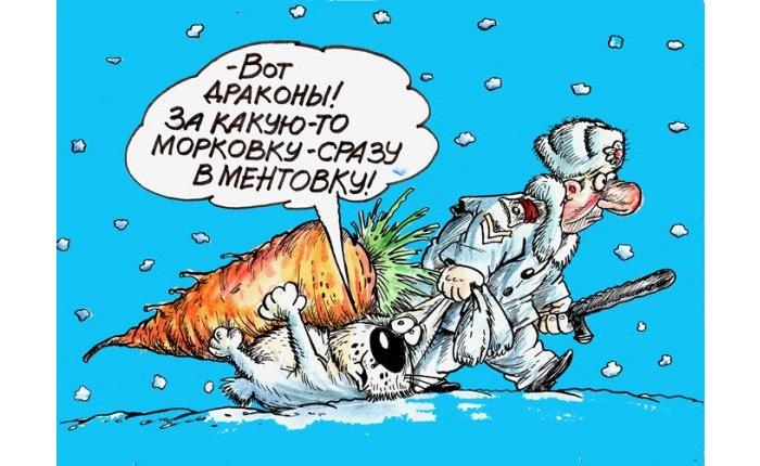 Анекдоты про морковку