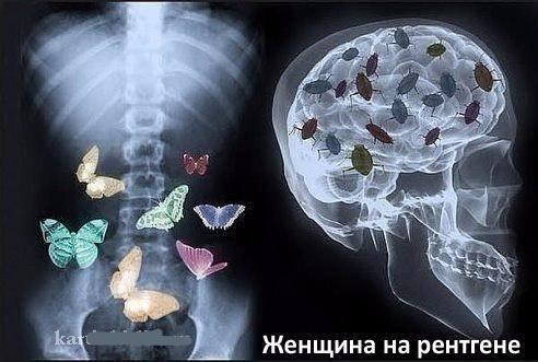 Прикольные картинки на понедельник 9 сентября 2024 года