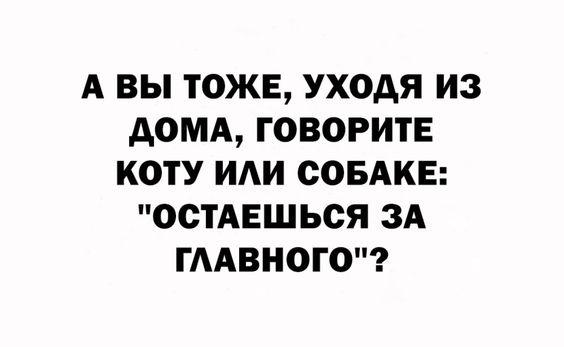 Прикольные картинки на понедельник 30 сентября 2024 года