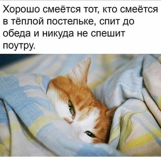 Классные картинки и смешные карикатуры