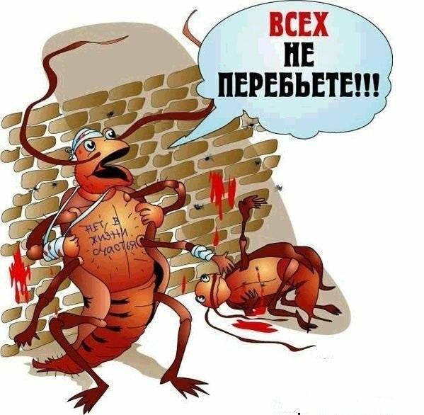 Смешные картинки и веселые карикатуры