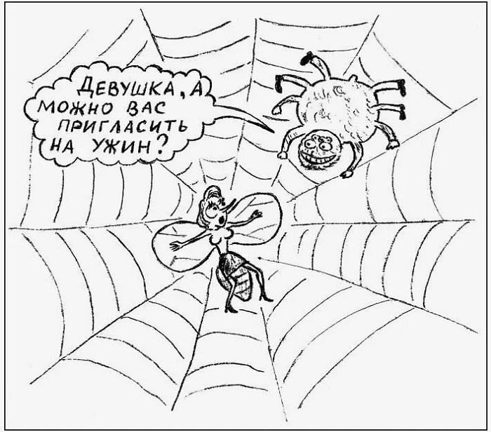 Подробнее о статье Анекдоты про пауков