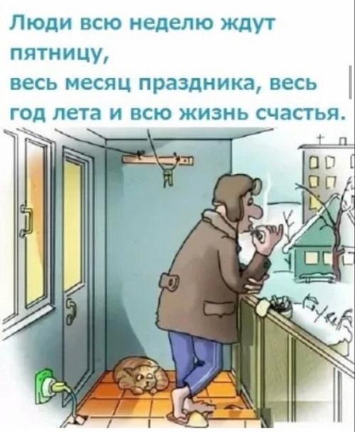 Забавные картинки и смешные карикатуры