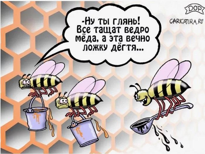 Забавные картинки с надписями и карикатуры