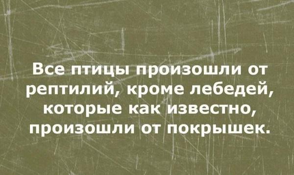 Клевые картинки на среду 27 ноября 2024 года