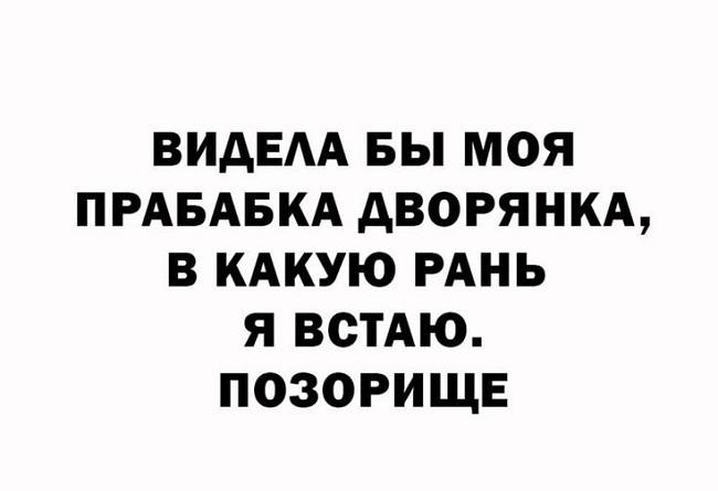 Прикольные картинки для вторника 5 ноября