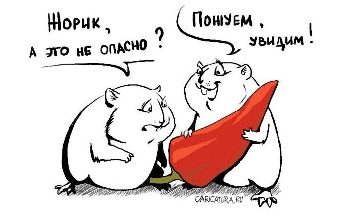 Анекдоты про хомяков