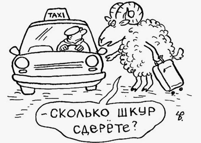 Прикольные картинки и хорошие карикатуры