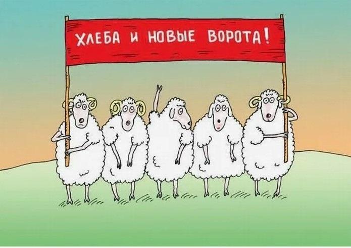 Прикольные картинки и хорошие карикатуры