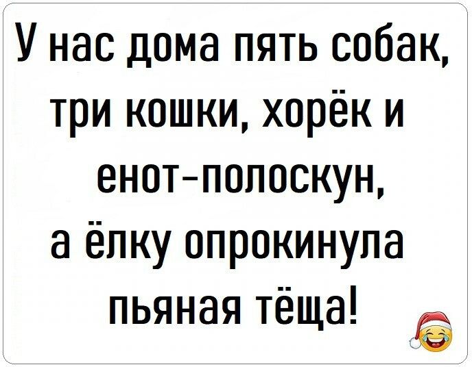 Прикольные картинки с новогодними статусами и шутками