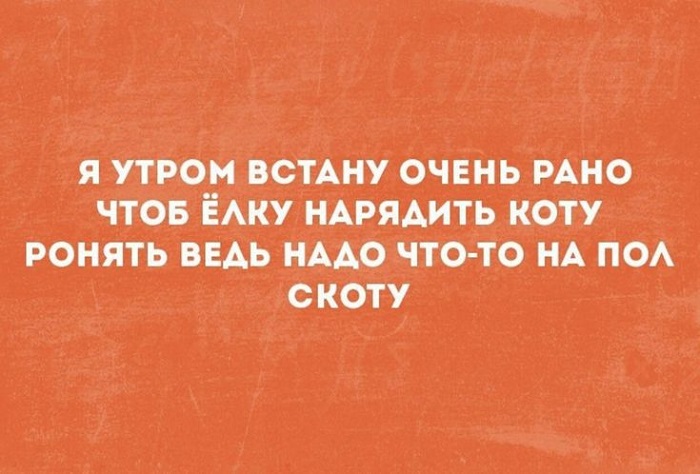 Прикольные картинки с новогодними статусами и шутками