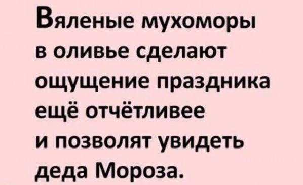 Прикольные картинки с новогодними статусами и шутками