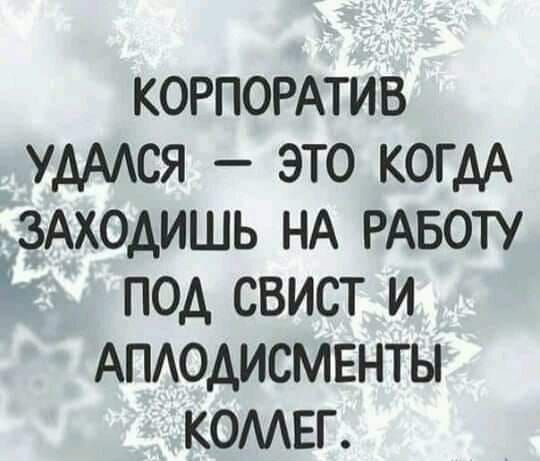 Прикольные картинки с новогодними статусами и шутками