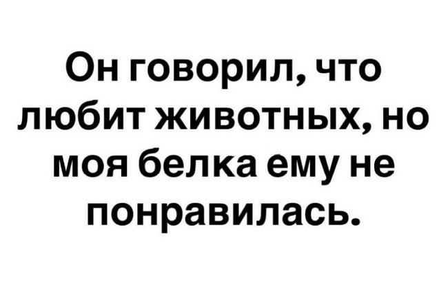 Хорошая сборка прикольных картинок