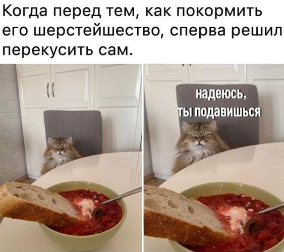 Смешные картинки и карикатуры