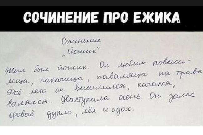 Подробнее о статье Смешные до слез школьные сочинения