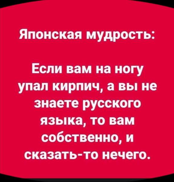 Порция свежих прикольных картинок для 10 марта